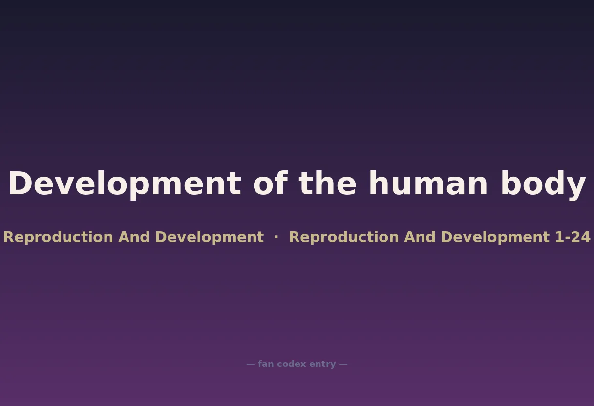 Development of the human body