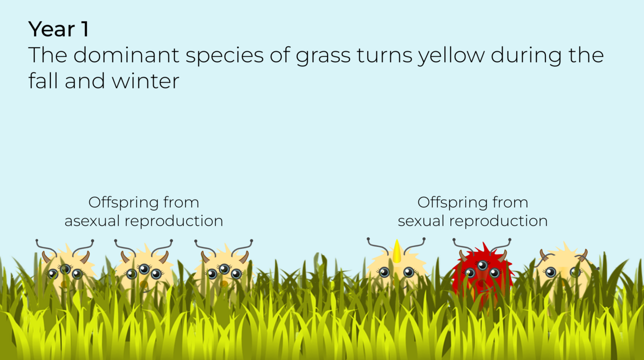 Sexual reproduction