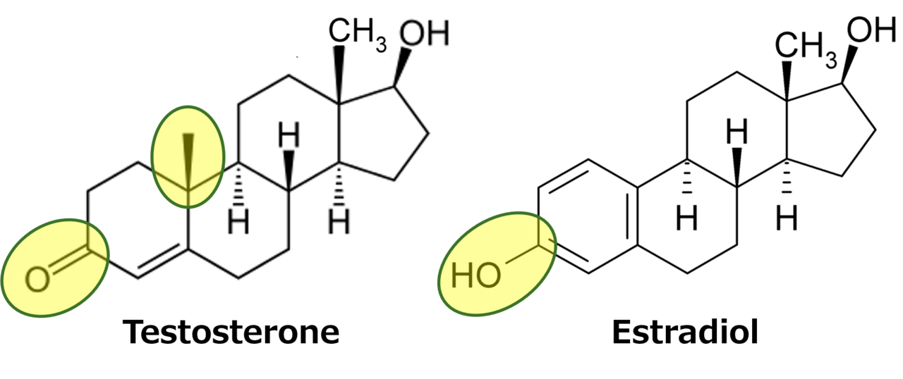 Testosterone