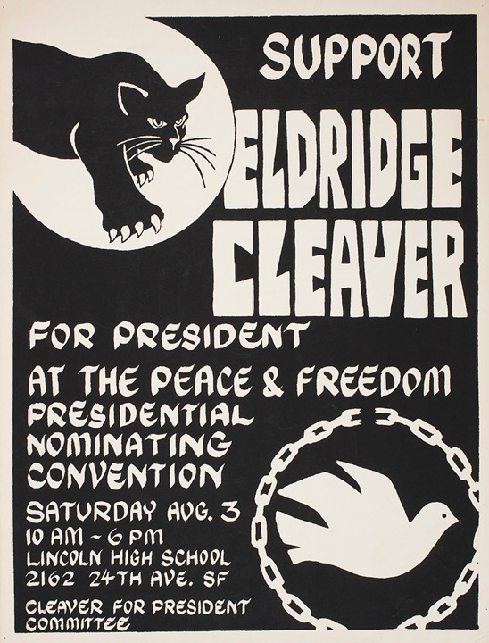 Cleaver Presidential Electional Poster