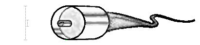 Coaxial-cable
