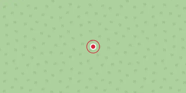 Street map of the area around Amur; the red dot marks 48°48′58″N 108°46′12″E