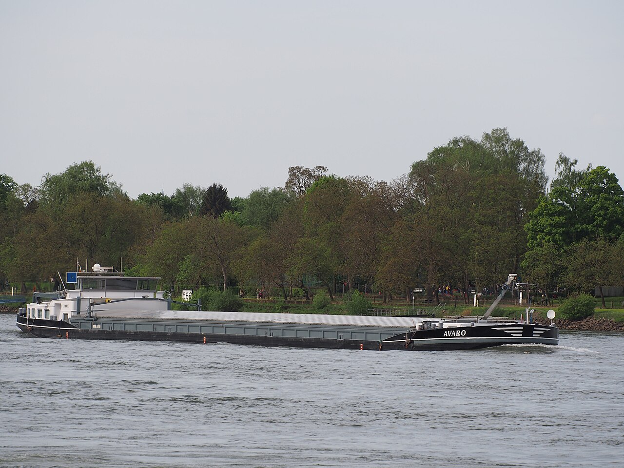Avaro (ship, 2004) ENI 06004274 Rhine river near Koblenz pic1