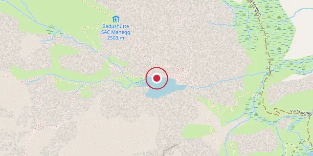 Street map of the area around Rhine; the red dot marks 46°37′59″N 8°40′19″E