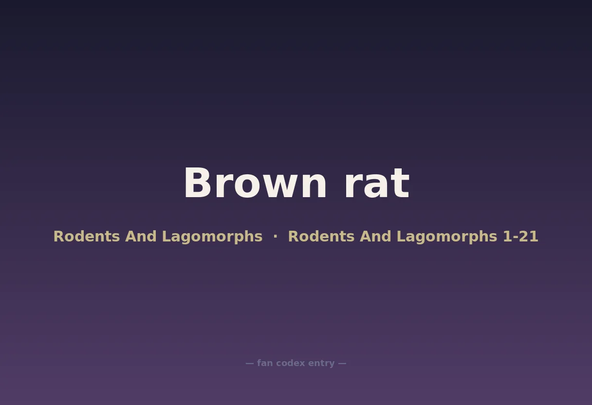 Brown rat
