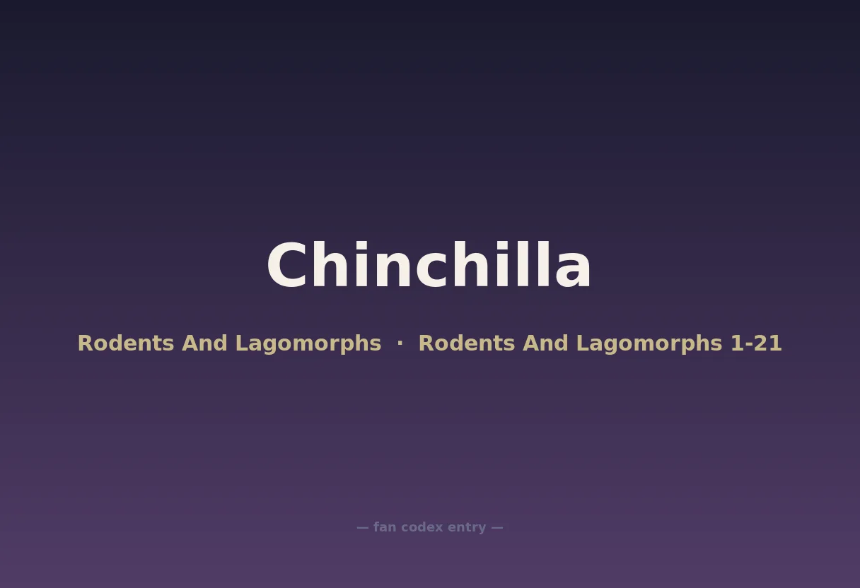 Chinchilla