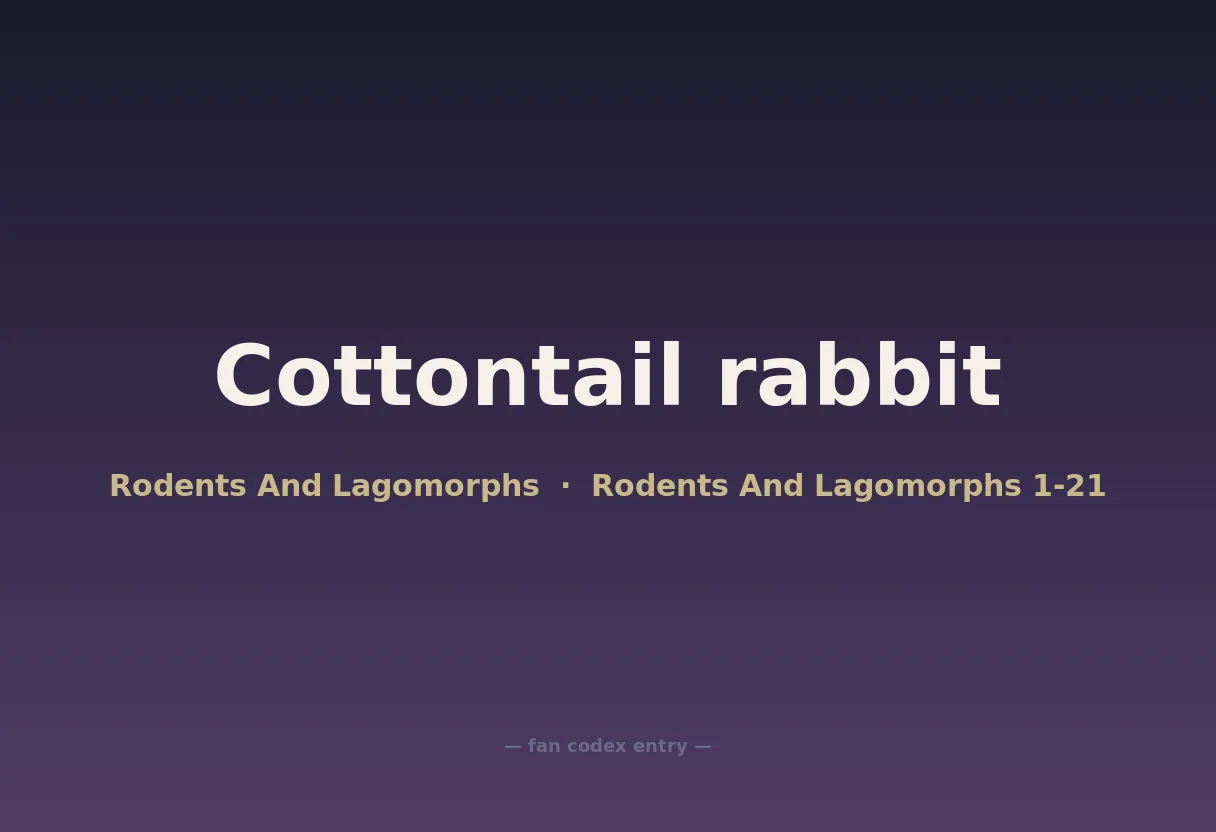 Cottontail rabbit