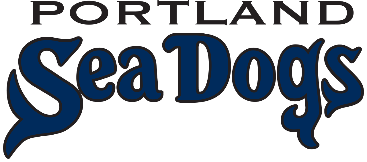 Sea Dogs (video game)