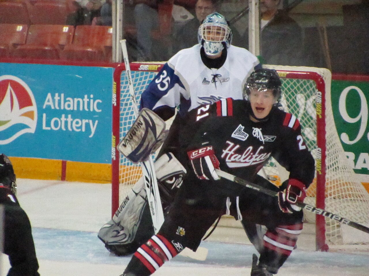 Sea Dogs (video game)