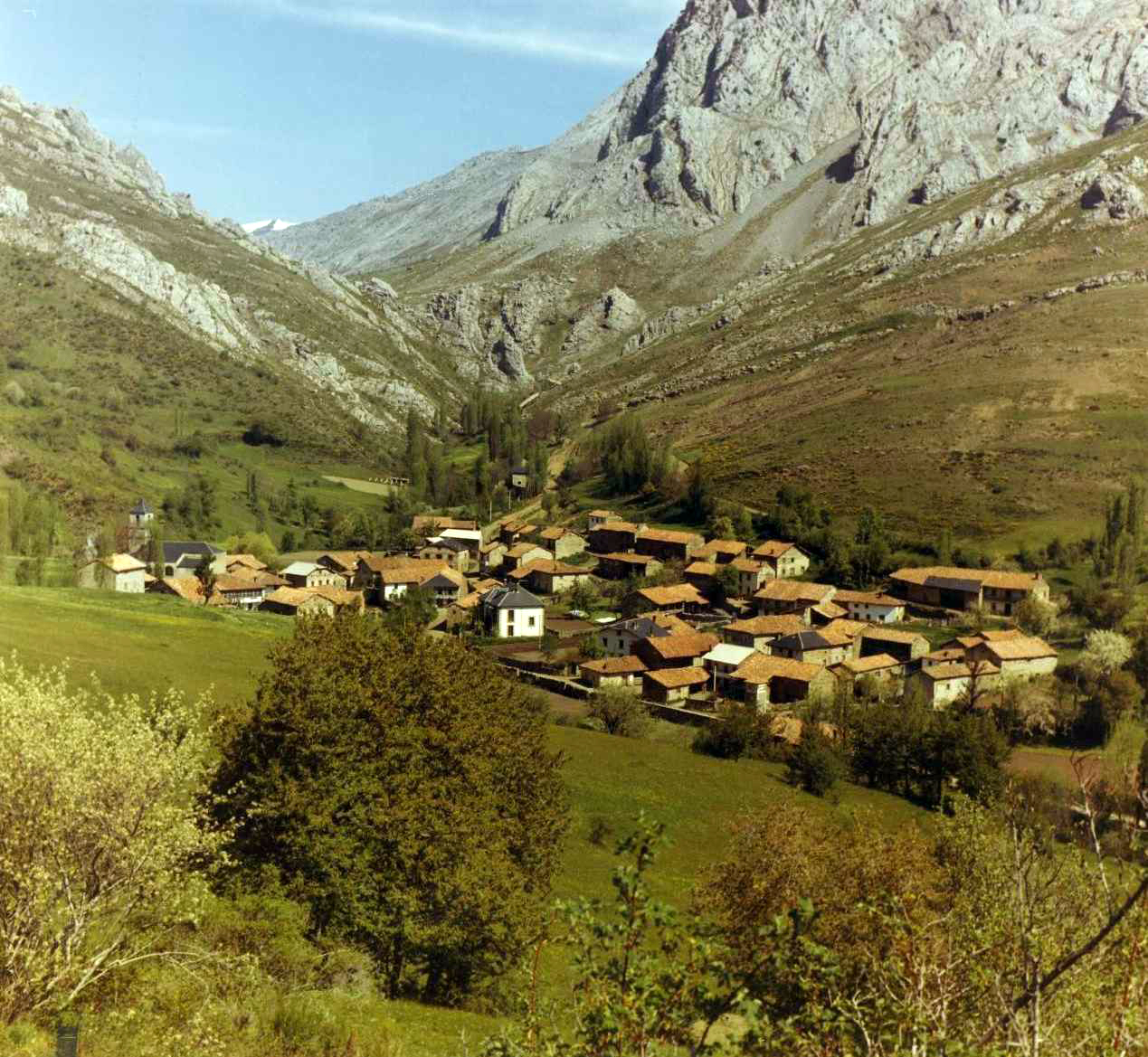 Ancile