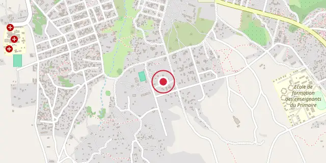 Street map of the area around Gaoua; the red dot marks 10°19′01″N 3°10′01″W