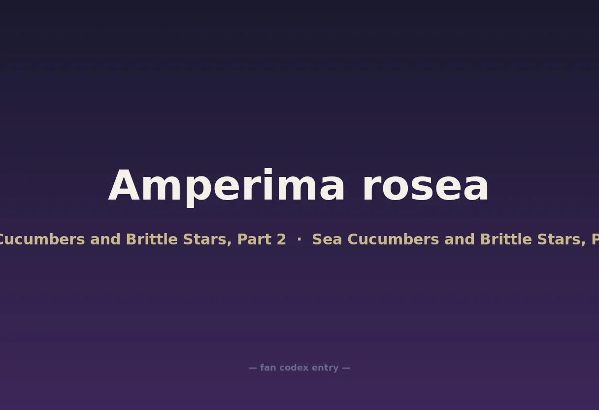 Amperima rosea
