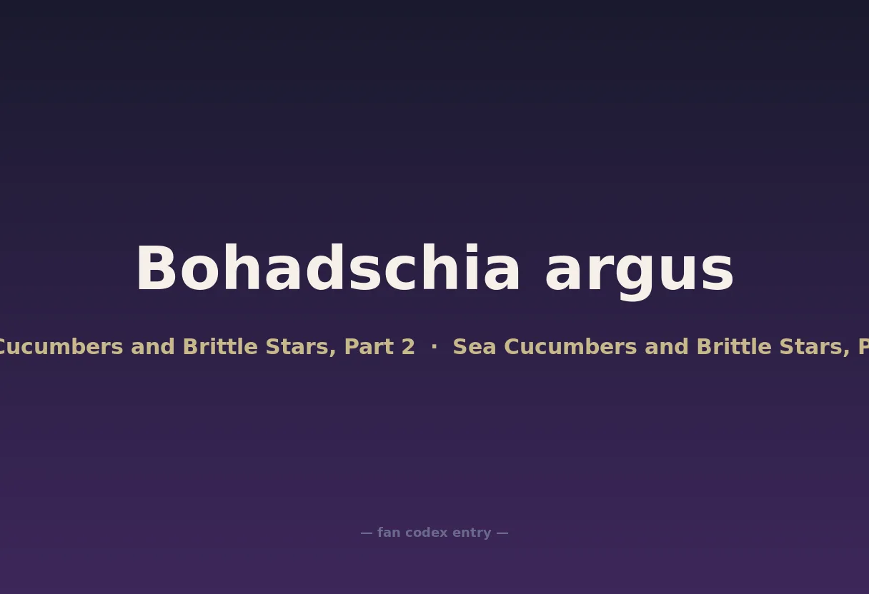 Bohadschia argus