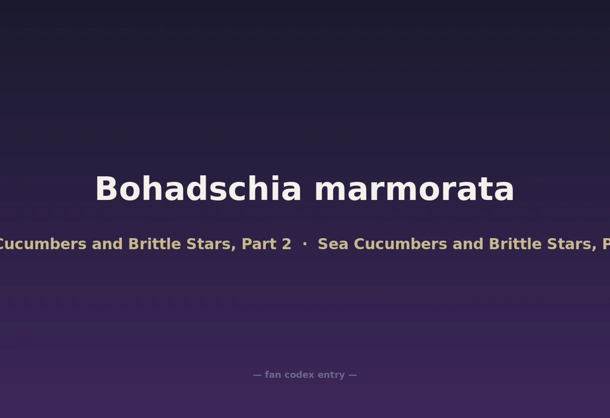 Bohadschia marmorata