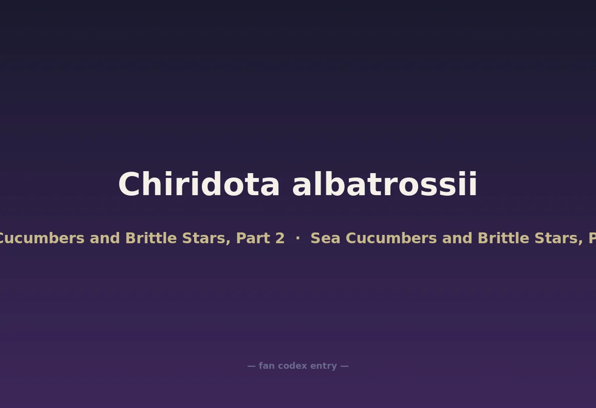 Chiridota albatrossii