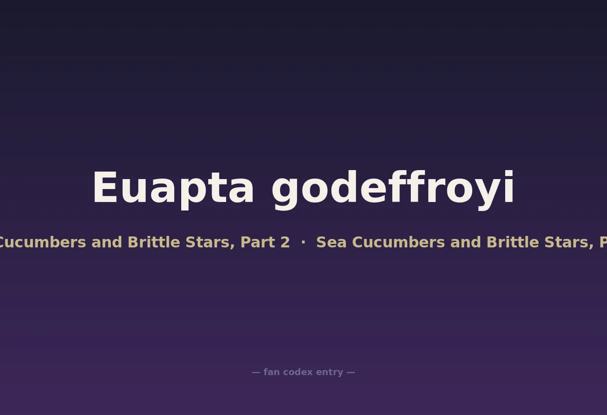Euapta godeffroyi
