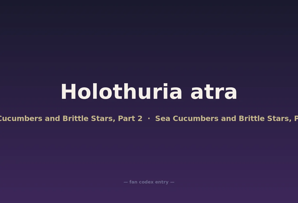 Holothuria atra