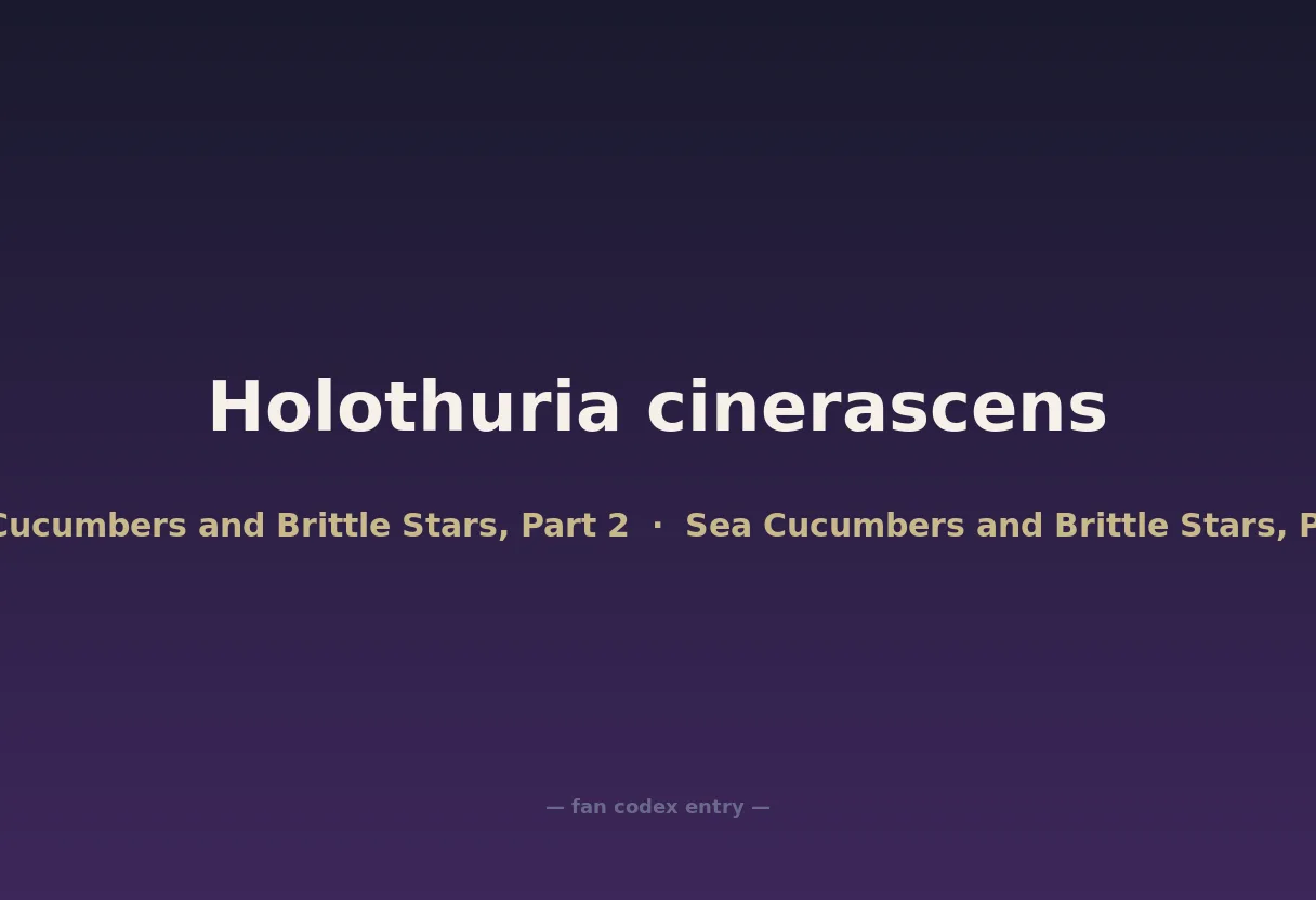 Holothuria cinerascens