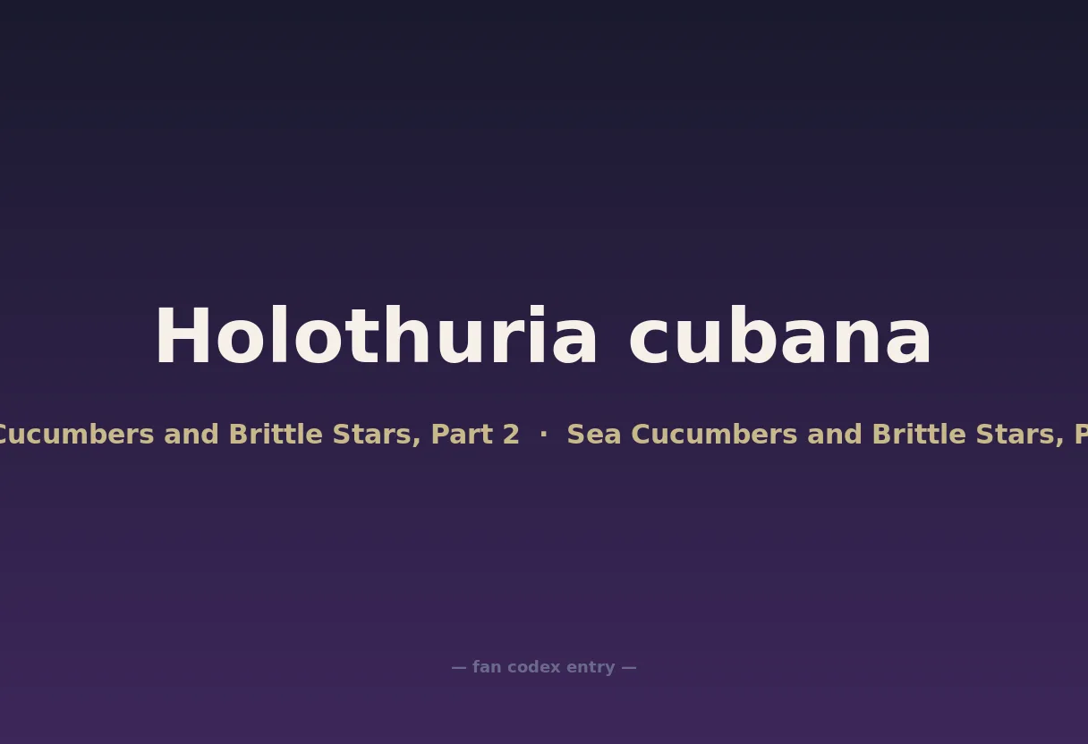 Holothuria cubana