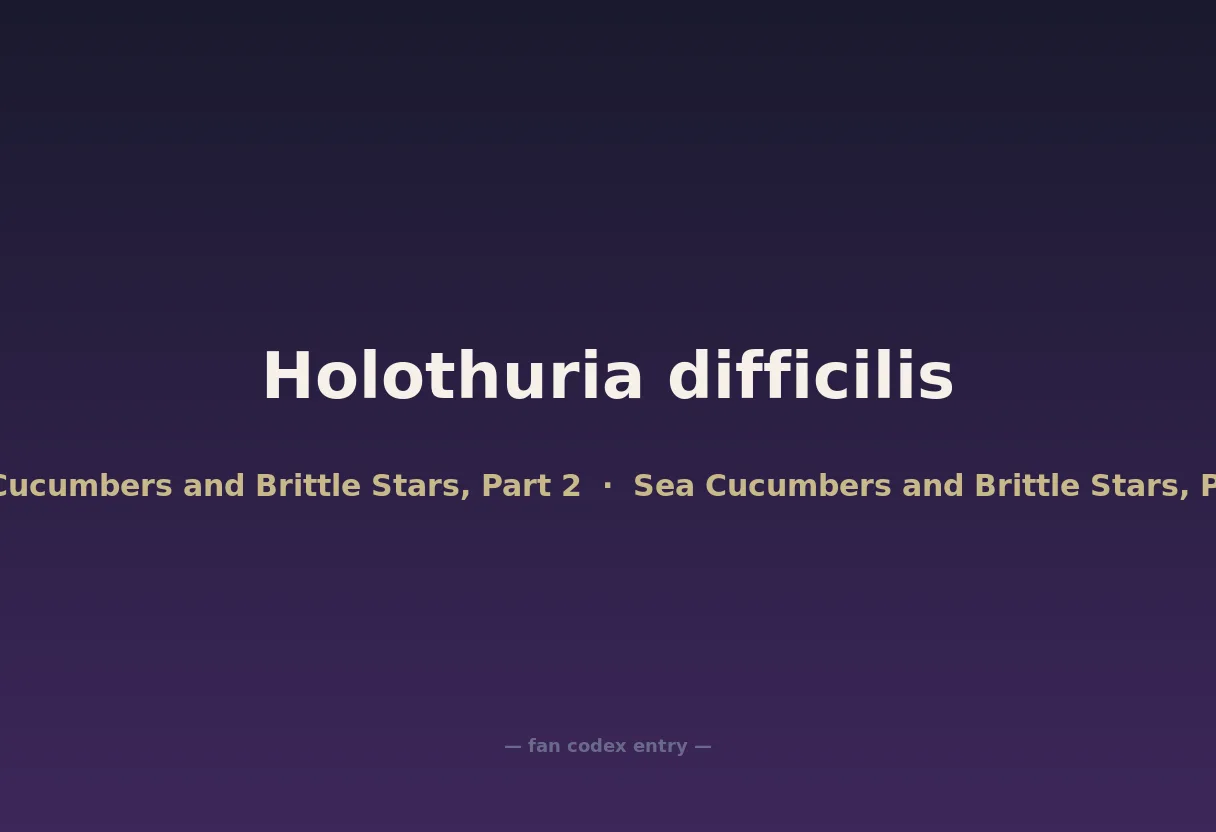 Holothuria difficilis