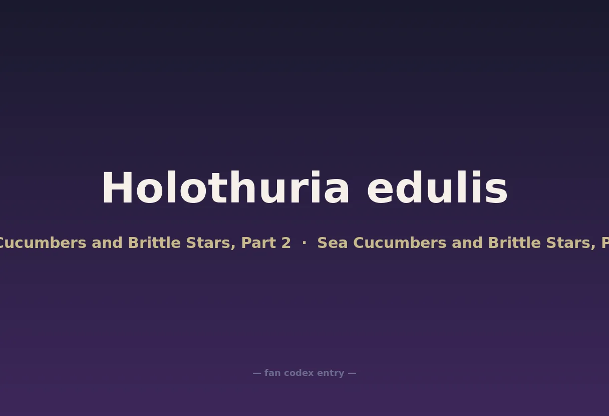 Holothuria edulis