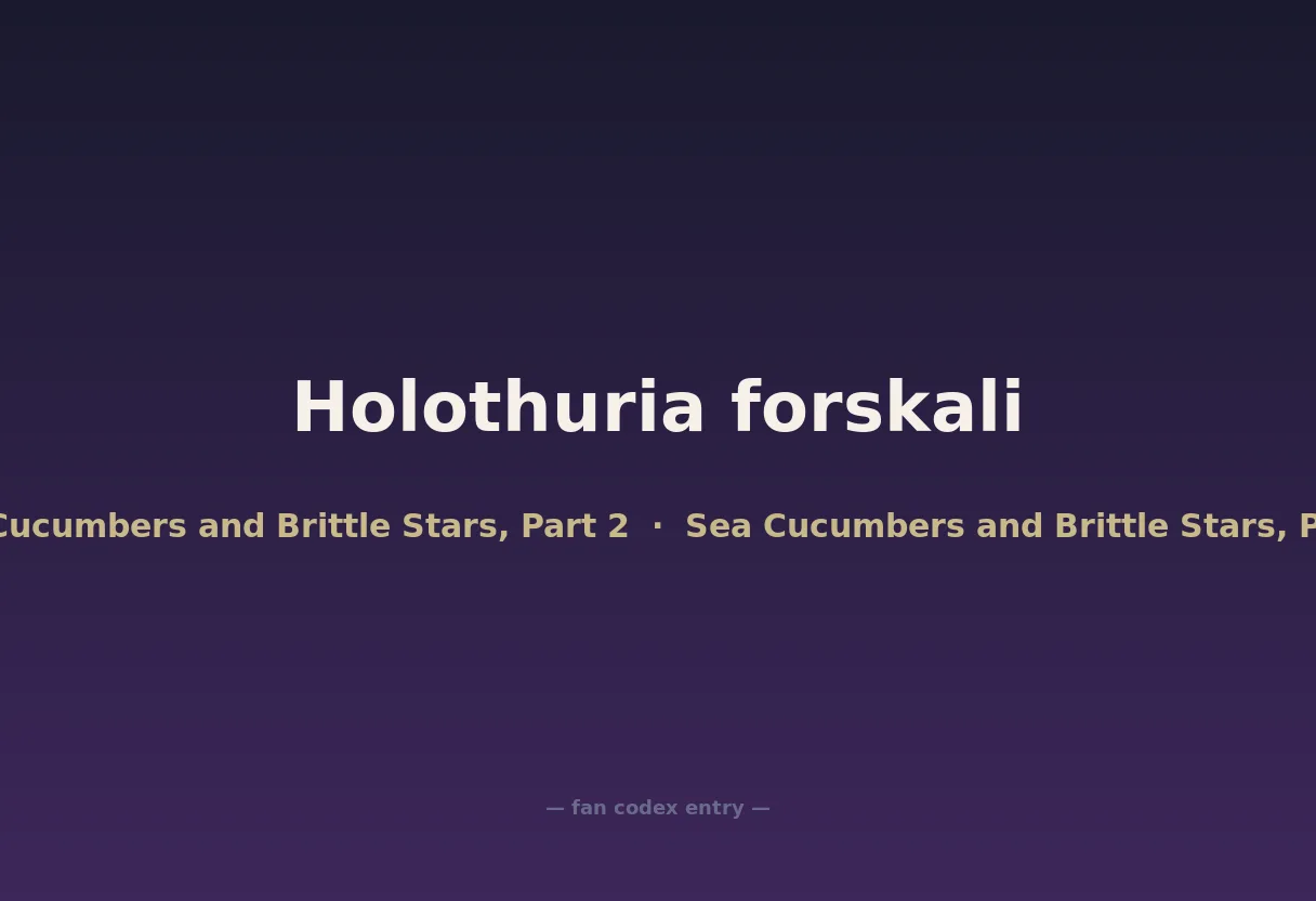 Holothuria forskali