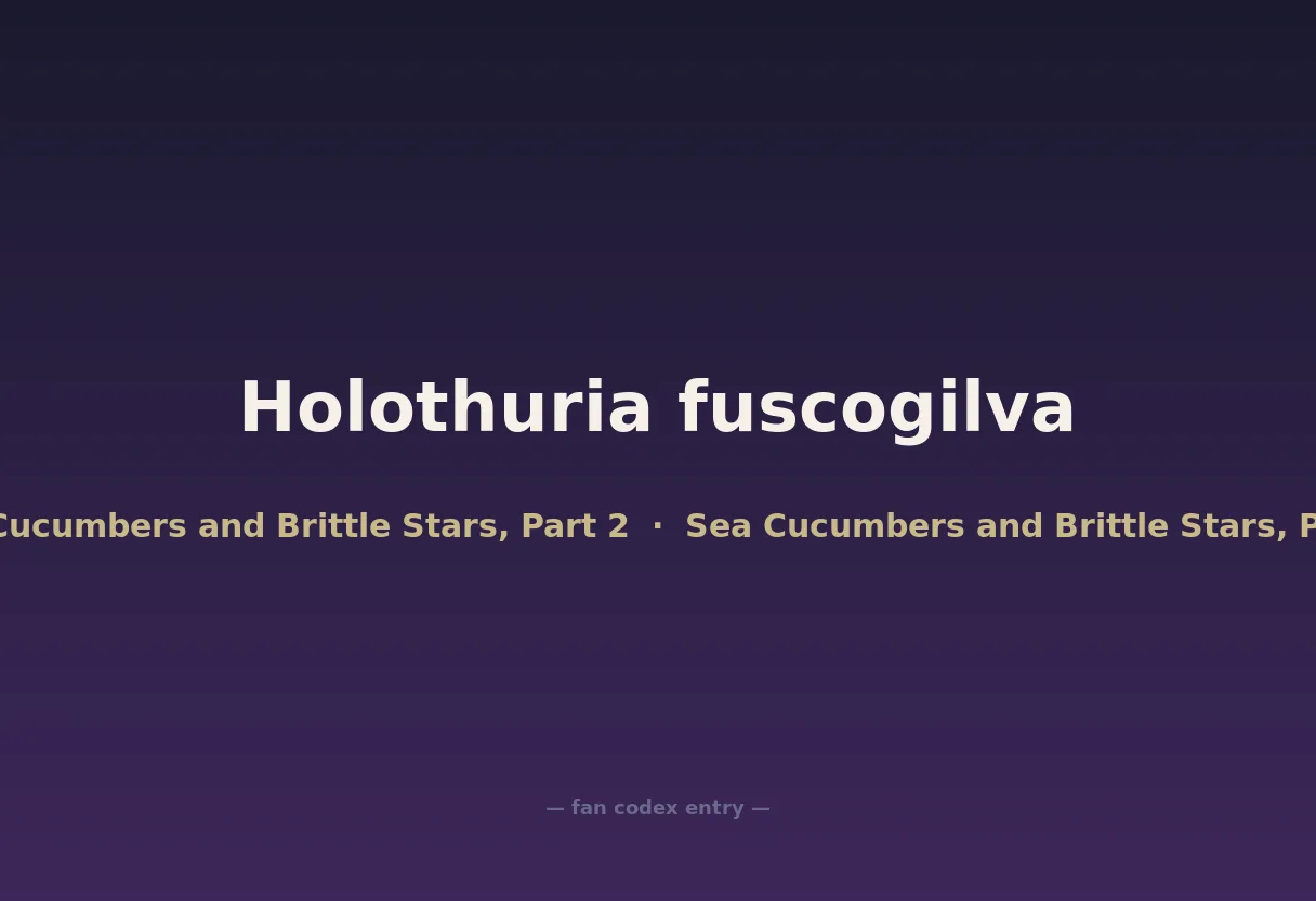 Holothuria fuscogilva