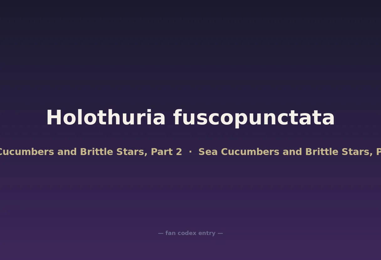 Holothuria fuscopunctata