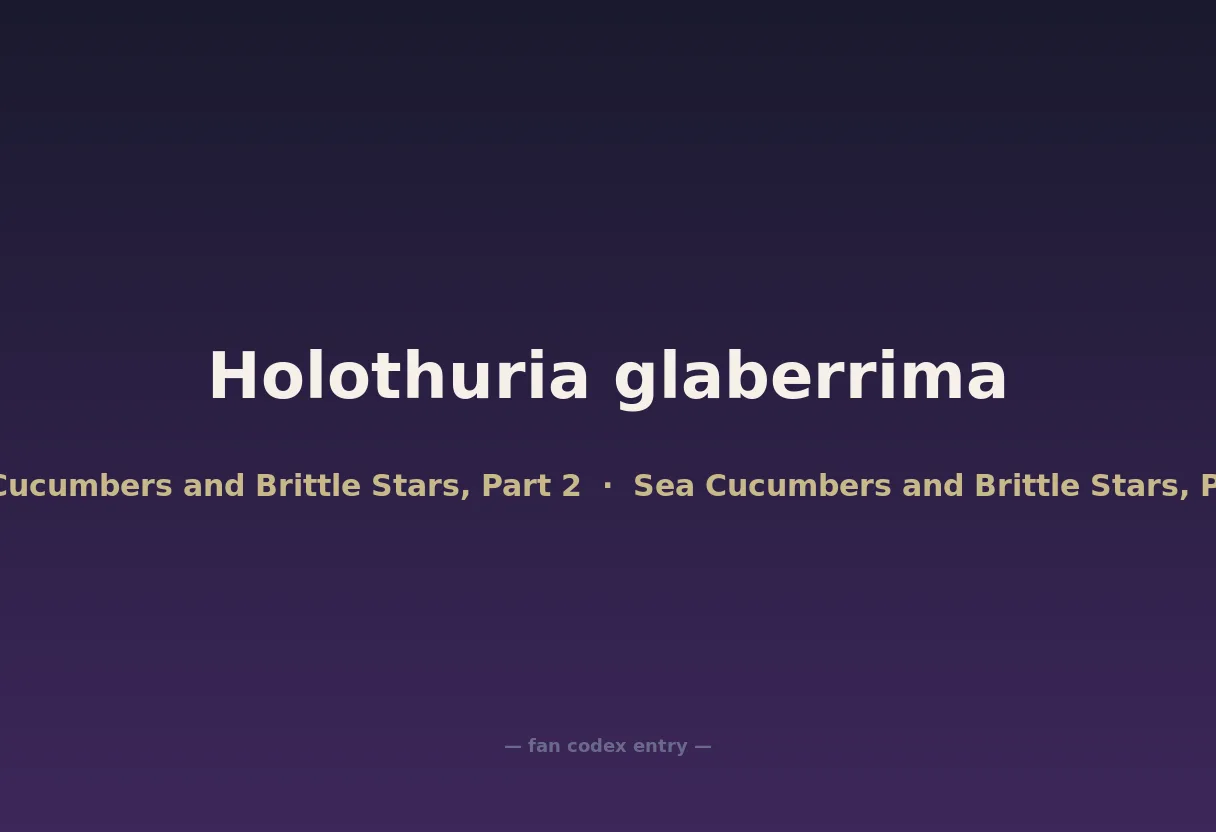 Holothuria glaberrima