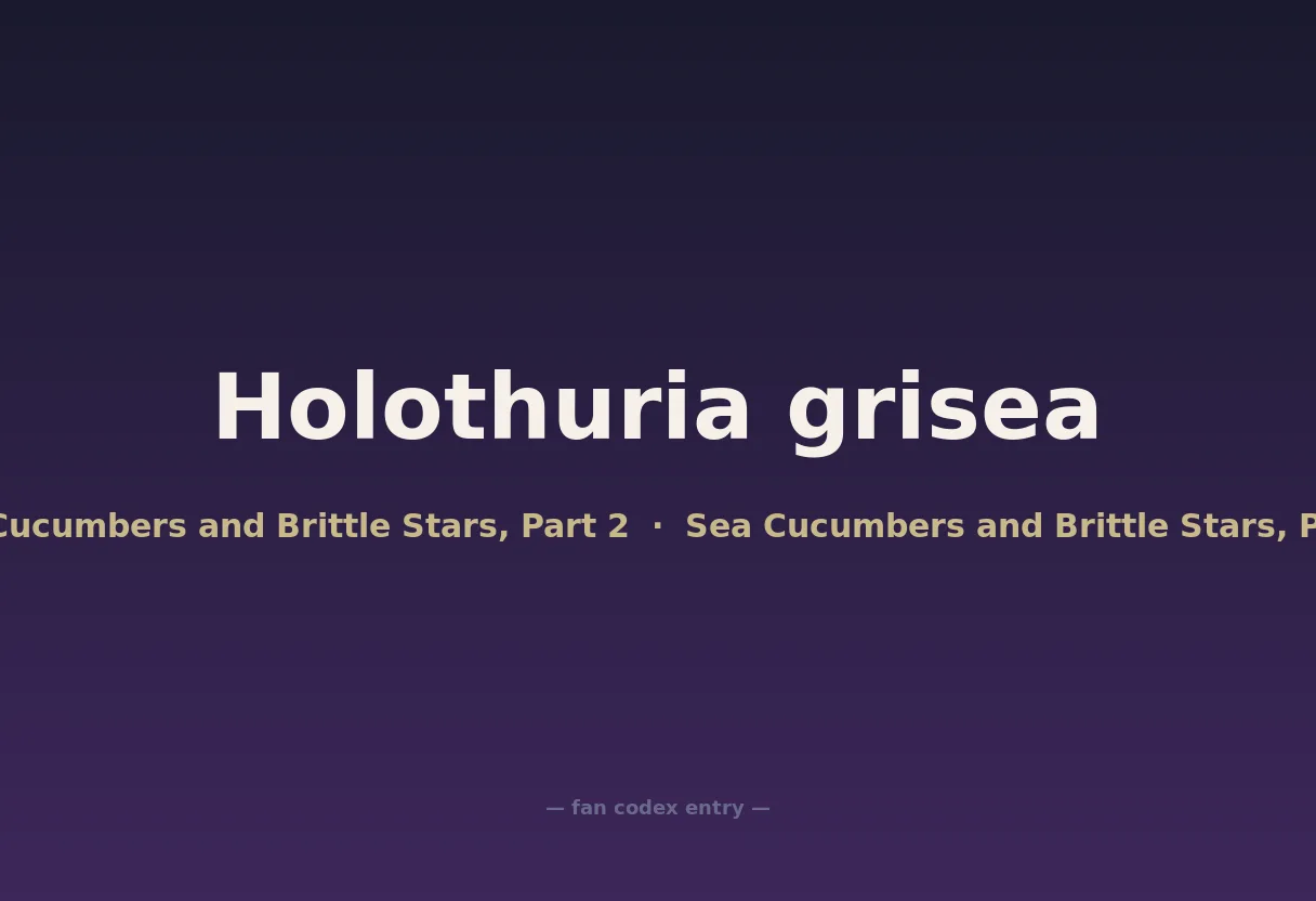Holothuria grisea