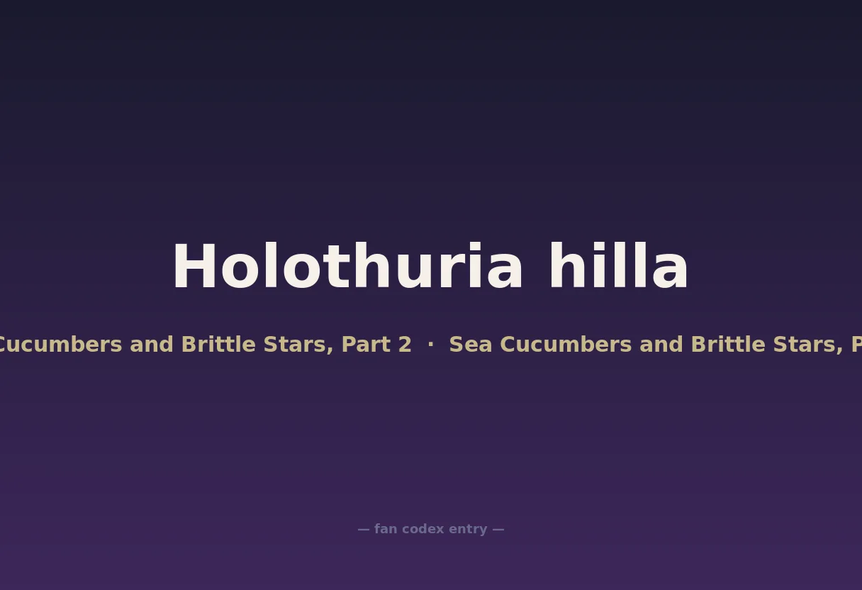 Holothuria hilla