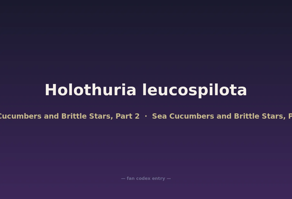 Holothuria leucospilota