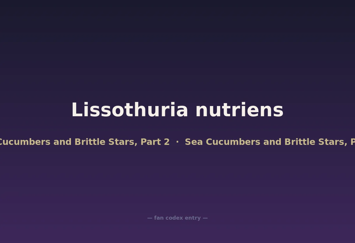Lissothuria nutriens