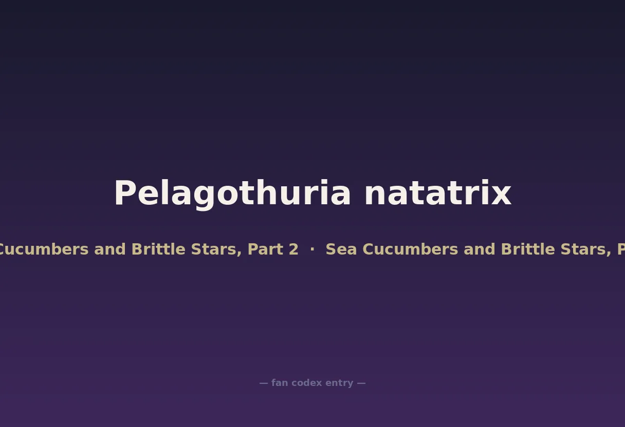 Pelagothuria natatrix