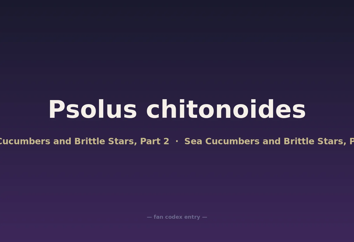 Psolus chitonoides