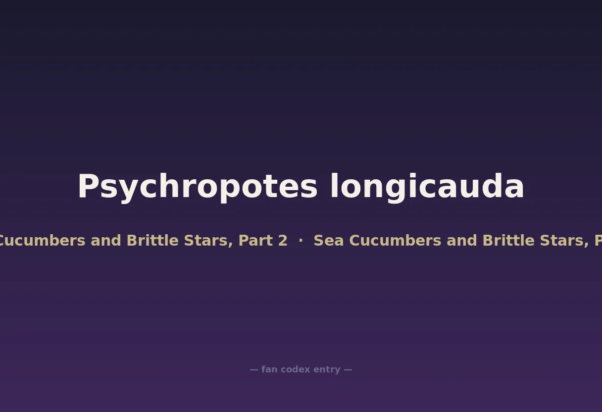 Psychropotes longicauda
