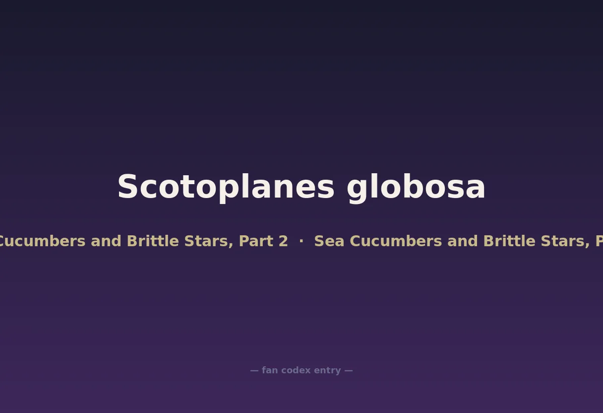 Scotoplanes globosa