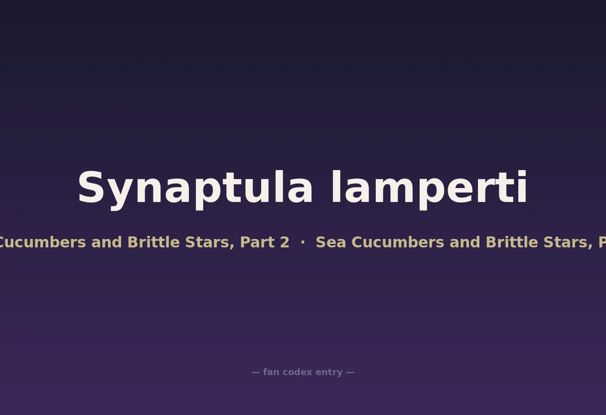 Synaptula lamperti