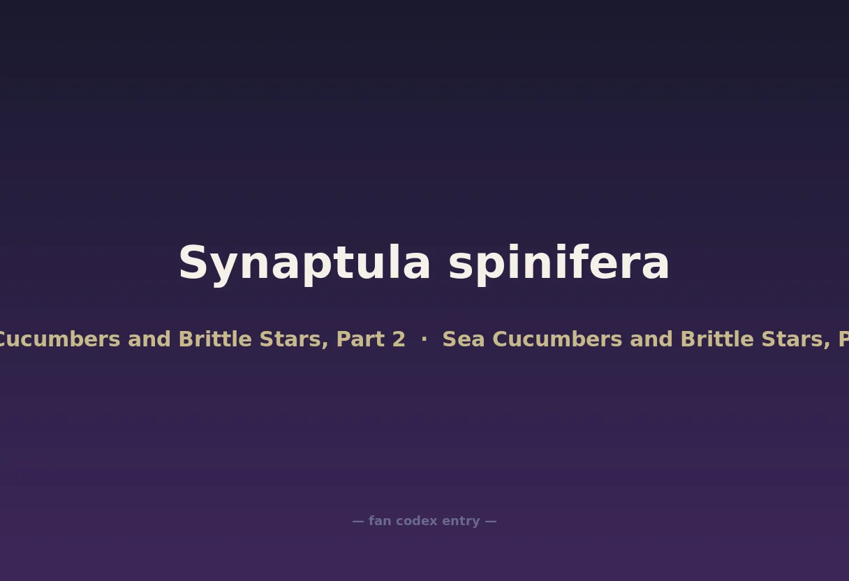 Synaptula spinifera