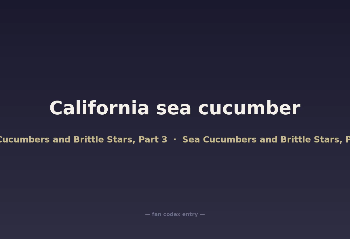 California sea cucumber