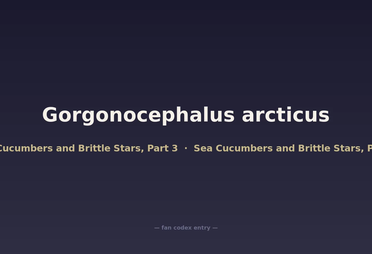 Gorgonocephalus arcticus