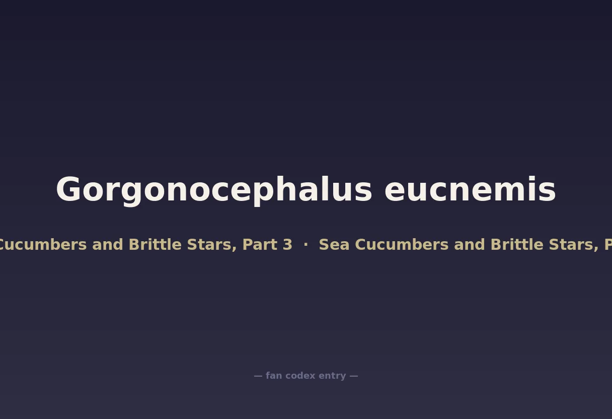 Gorgonocephalus eucnemis