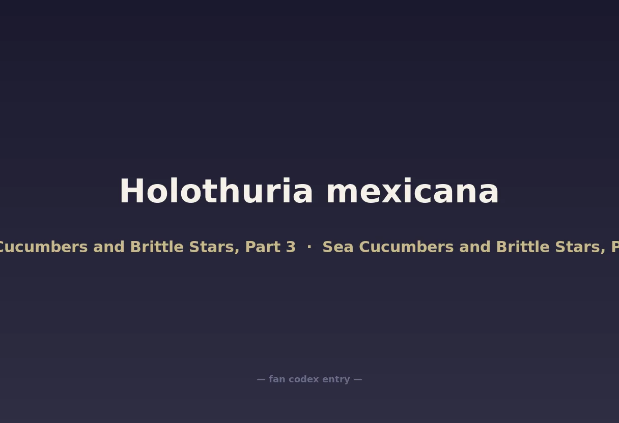 Holothuria mexicana