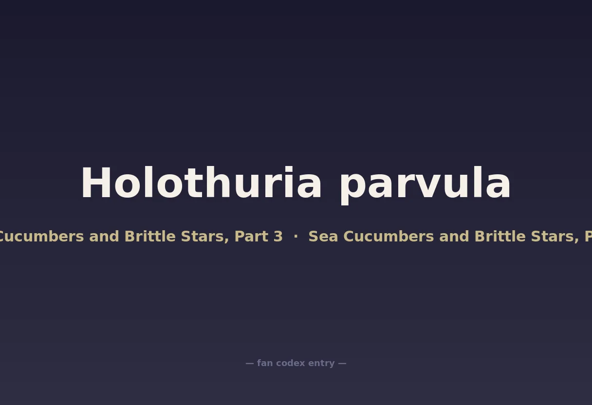 Holothuria parvula