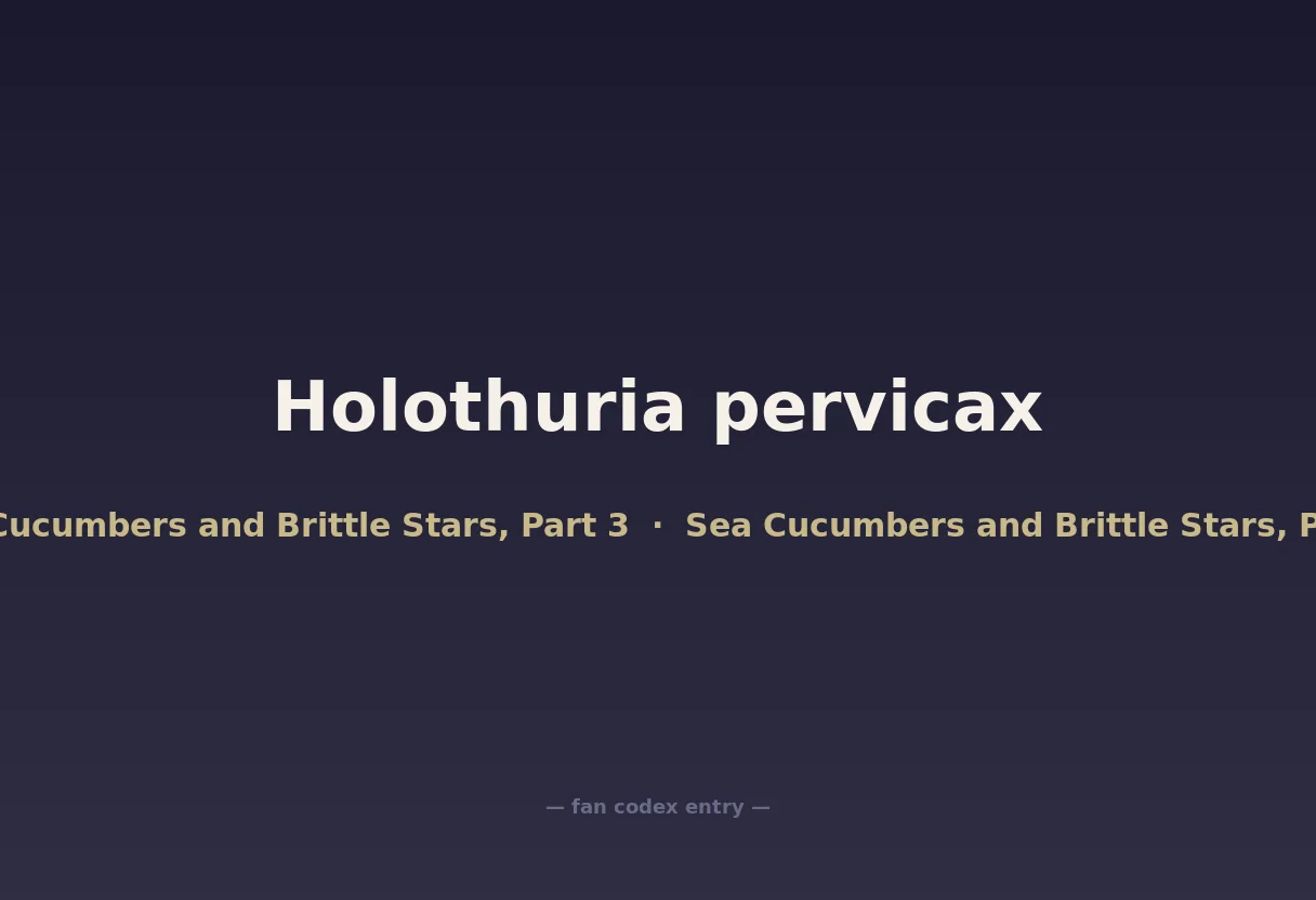 Holothuria pervicax