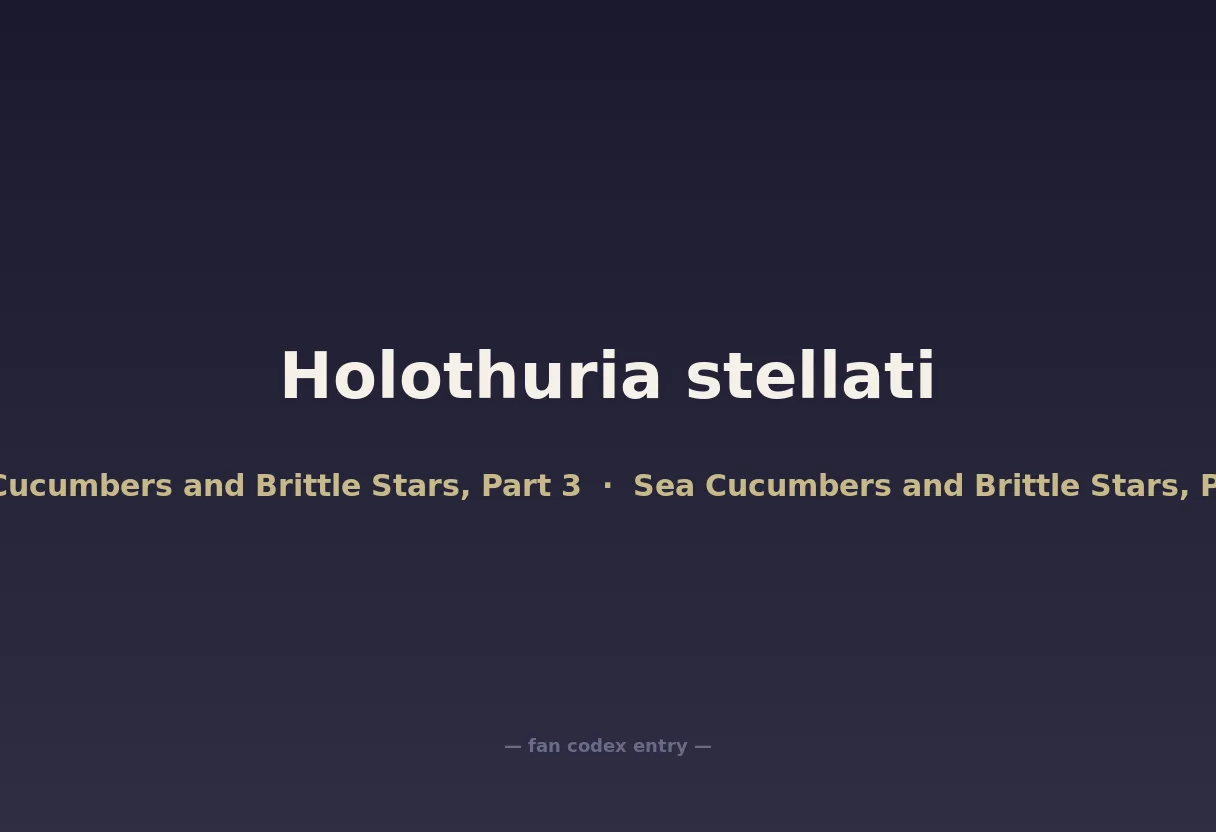 Holothuria stellati