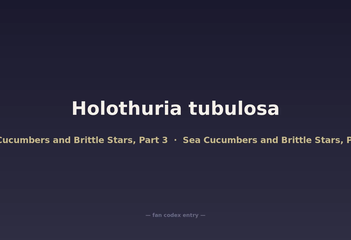 Holothuria tubulosa