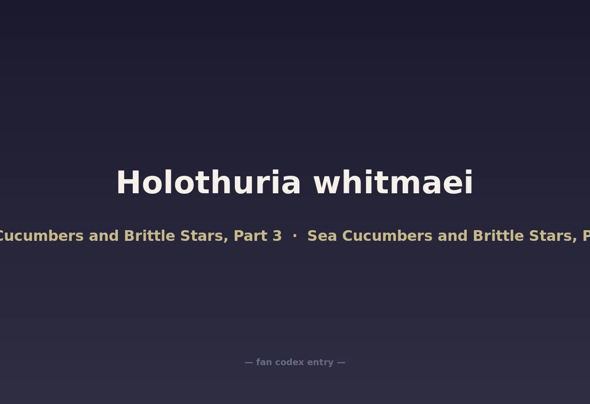 Holothuria whitmaei