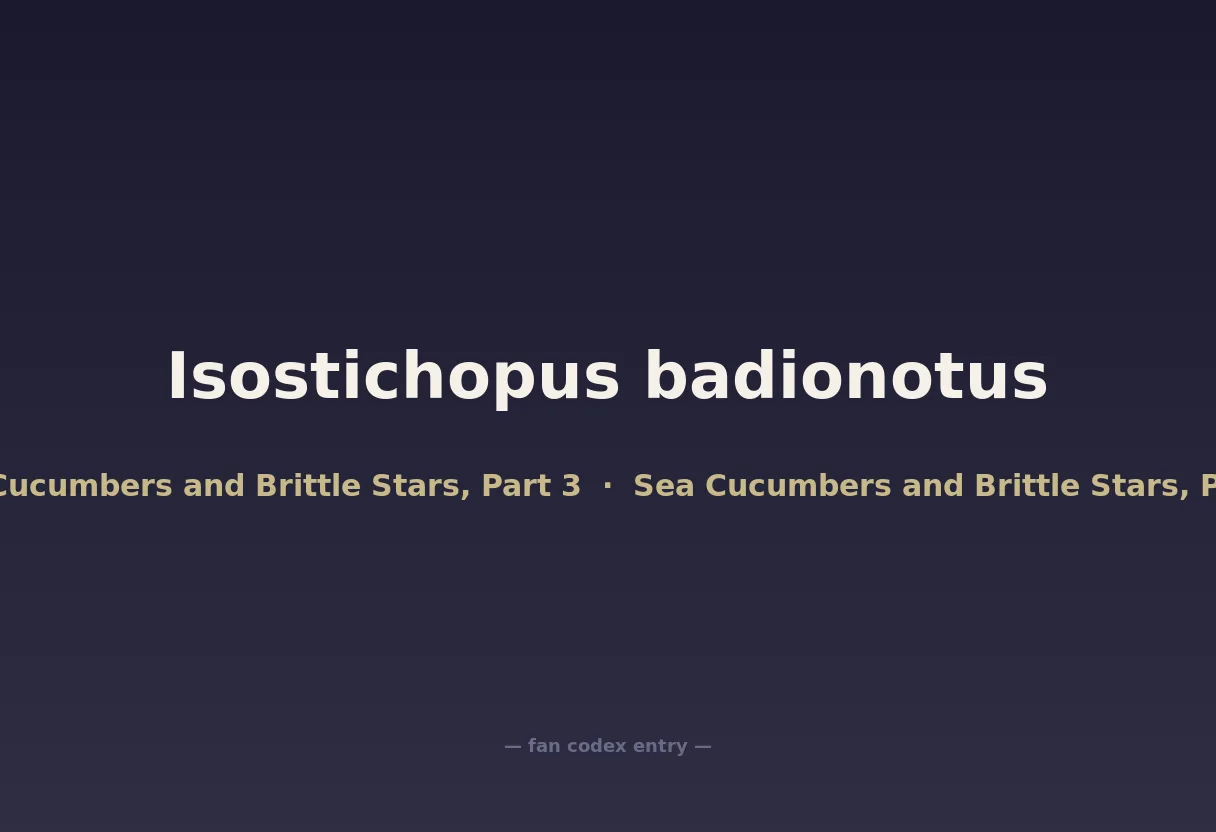 Isostichopus badionotus