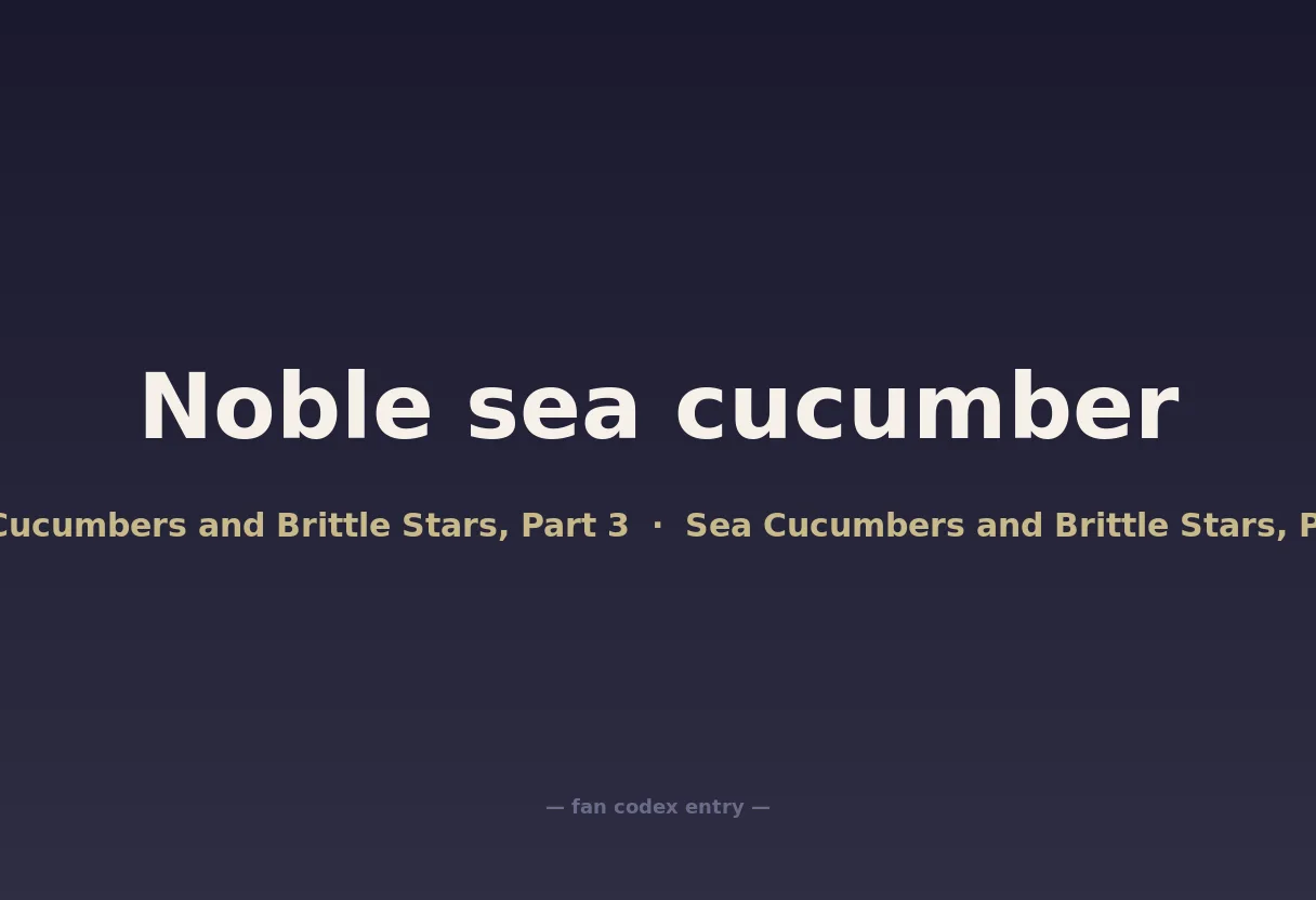 Noble sea cucumber
